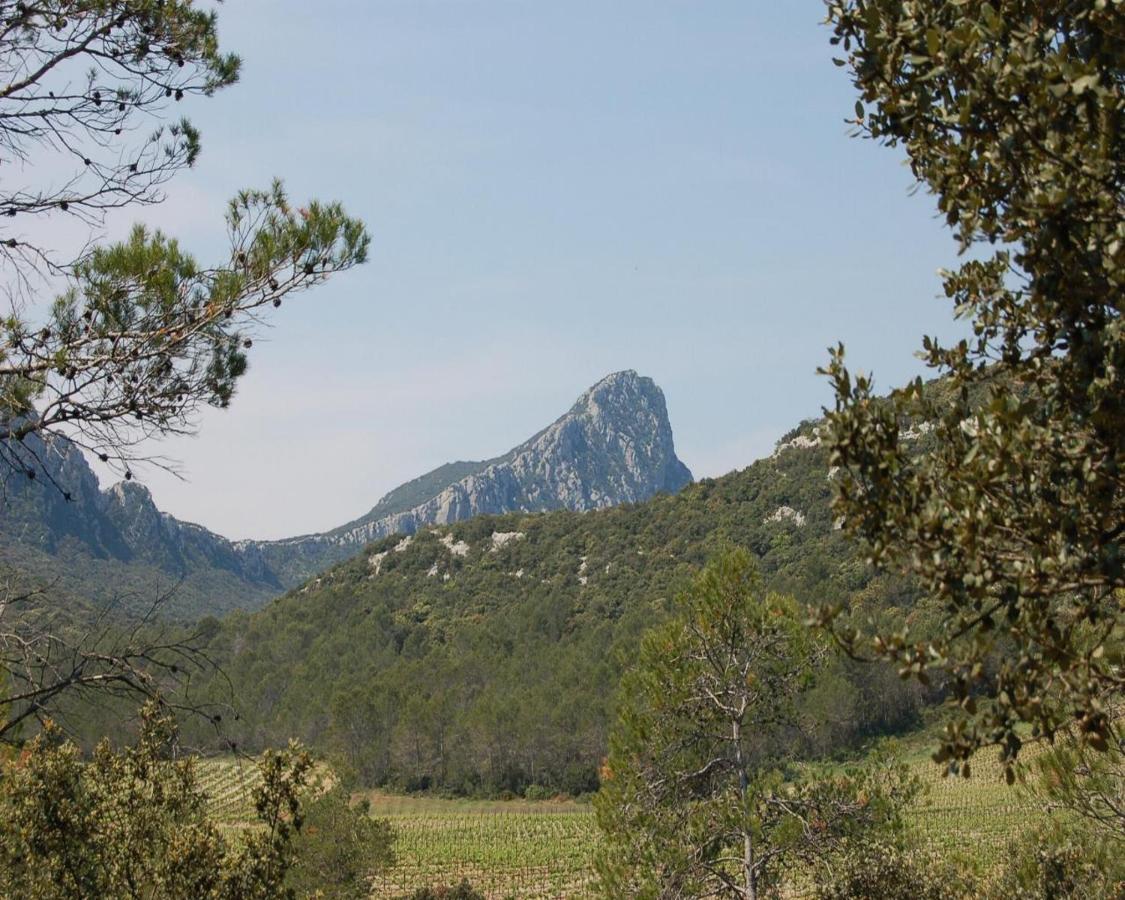 Domaine Du Bois Gite Marion Galargues ภายนอก รูปภาพ