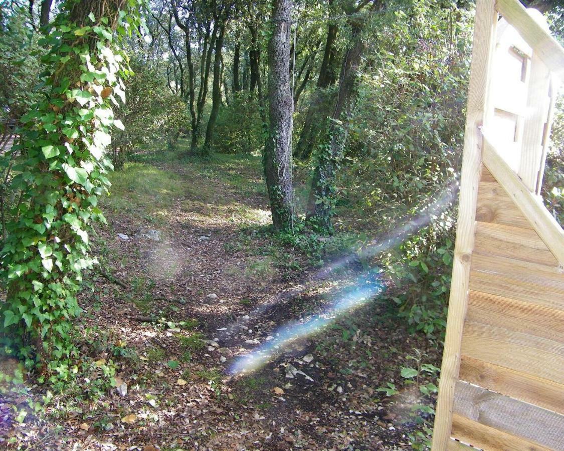 Domaine Du Bois Gite Marion Galargues ภายนอก รูปภาพ